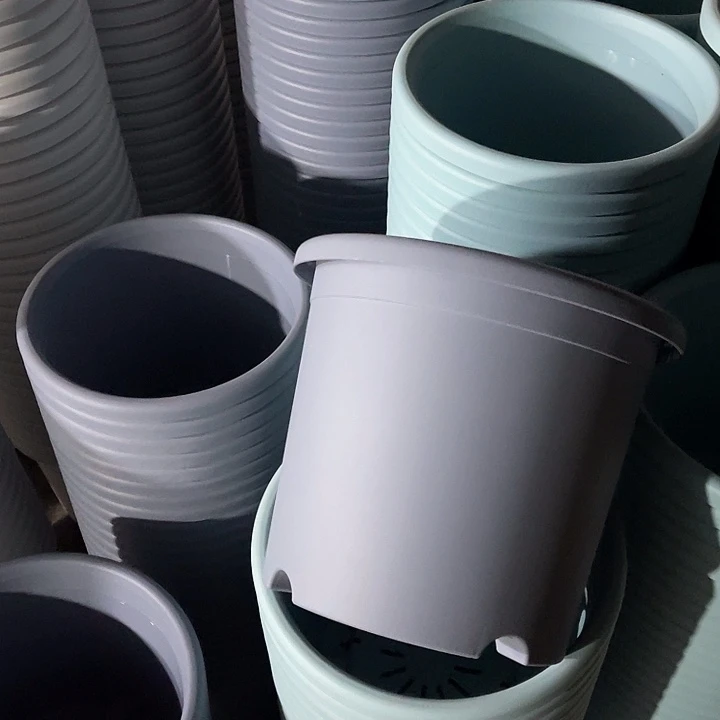 树脂长盛5号紫蓝色5个