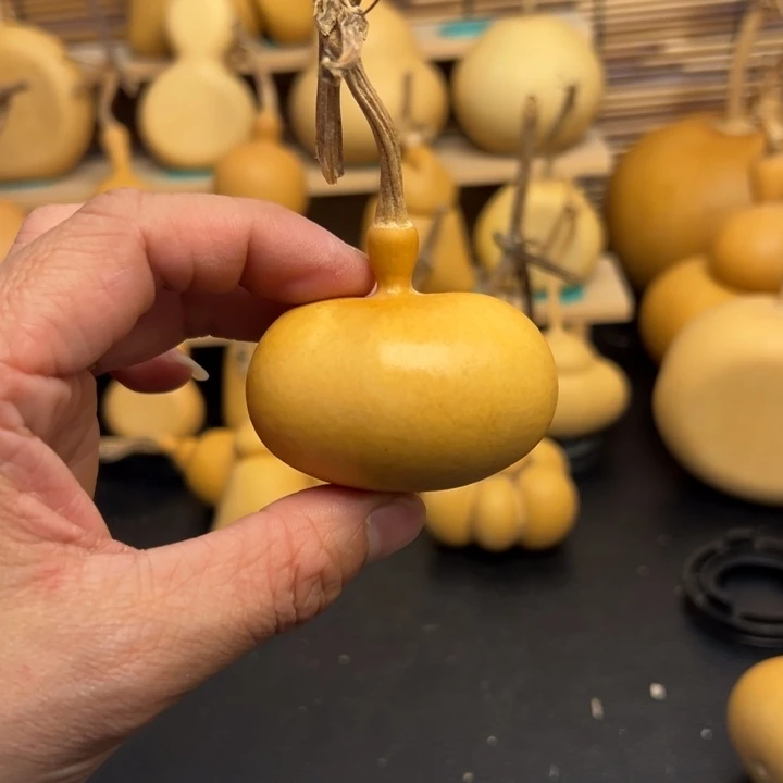 是**啊6666636666666669