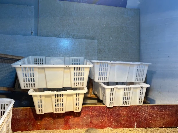 长方形大白可折叠塑料筐10个装家用白色收纳筐镂空篮子储物篮