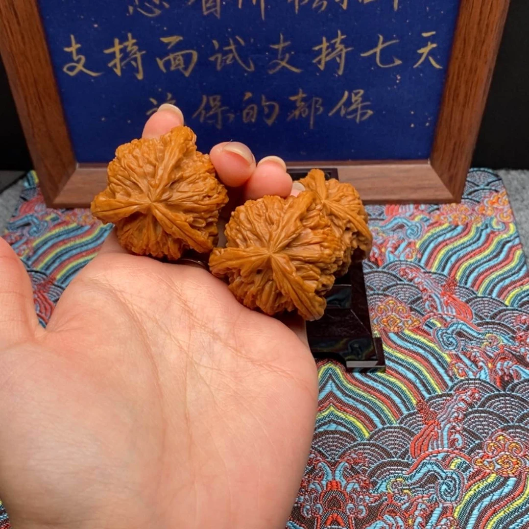 【闪购商品】麒***洋白狮