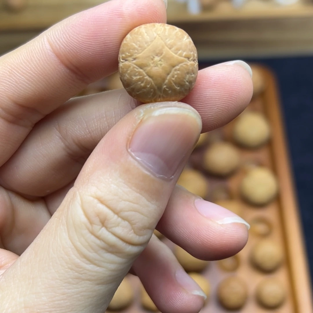 手串凤眼菩提17.6麒麟眼