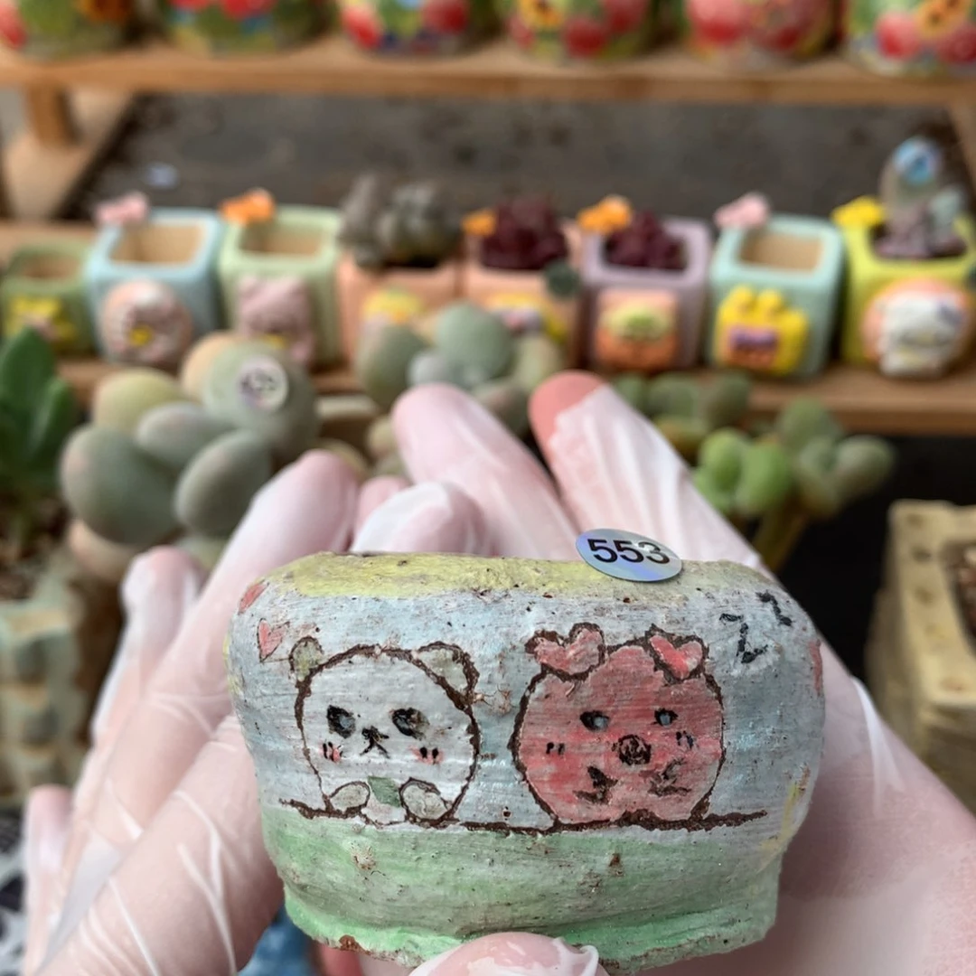 瑕疵特价无售后花盆哈哈哈哈哈553