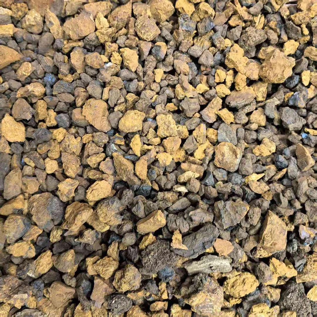 【霞姐推荐】长白山 桦树茸