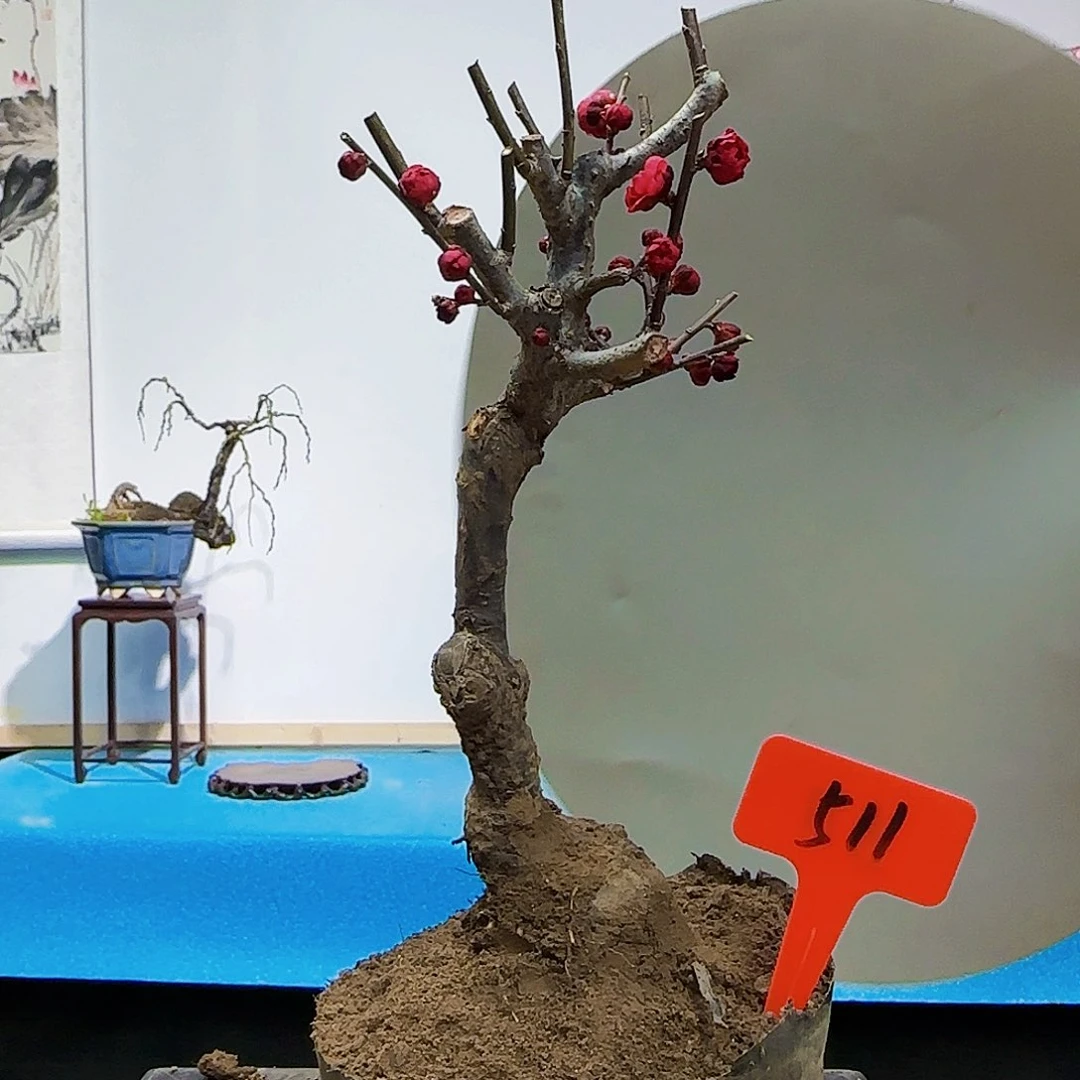 无铅玻璃空*镜德国v不能