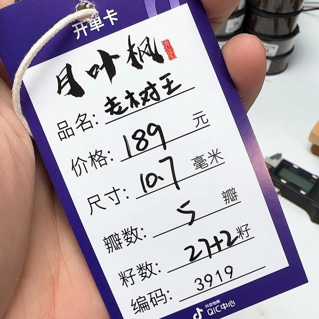 金刚菩提吊坠Aaaaaaaaa3919