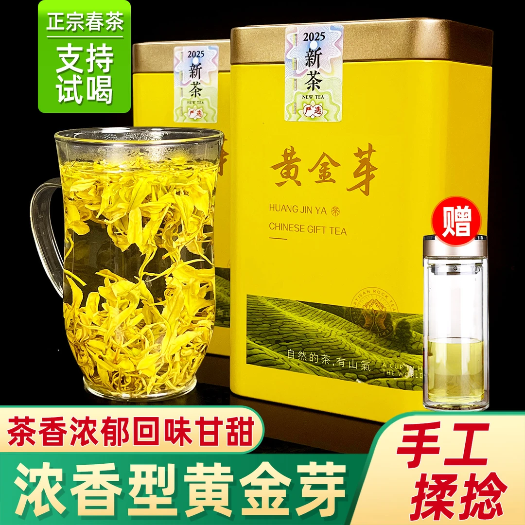 手工黄金芽炒青茶叶明前浓香型高山茶叶绿茶春茶黄金芽新茶茶叶