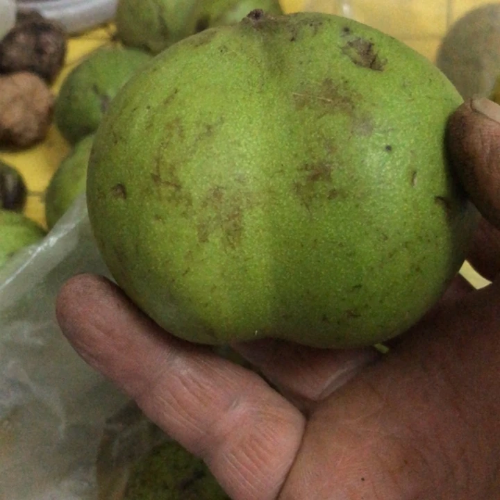 哆***场文玩核桃官帽异形