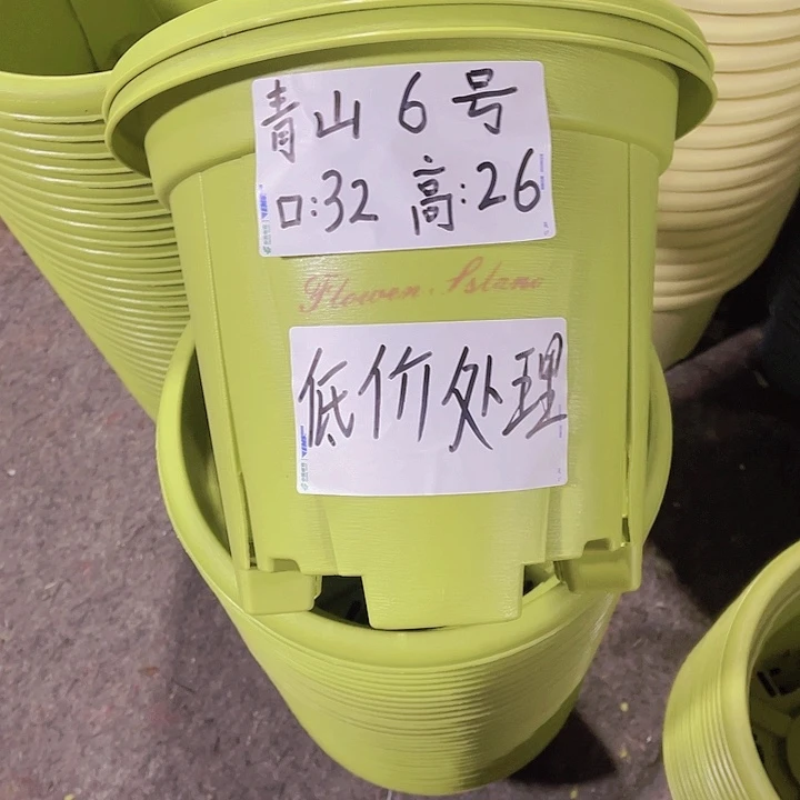 树脂青山6号果绿色4个