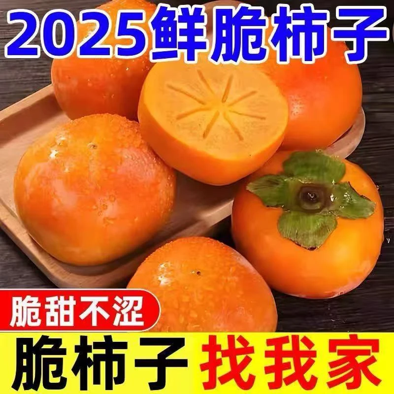 【新鲜采摘】陕西冰糖心巧克力脆柿子新鲜水果香甜多汁果园直发包邮