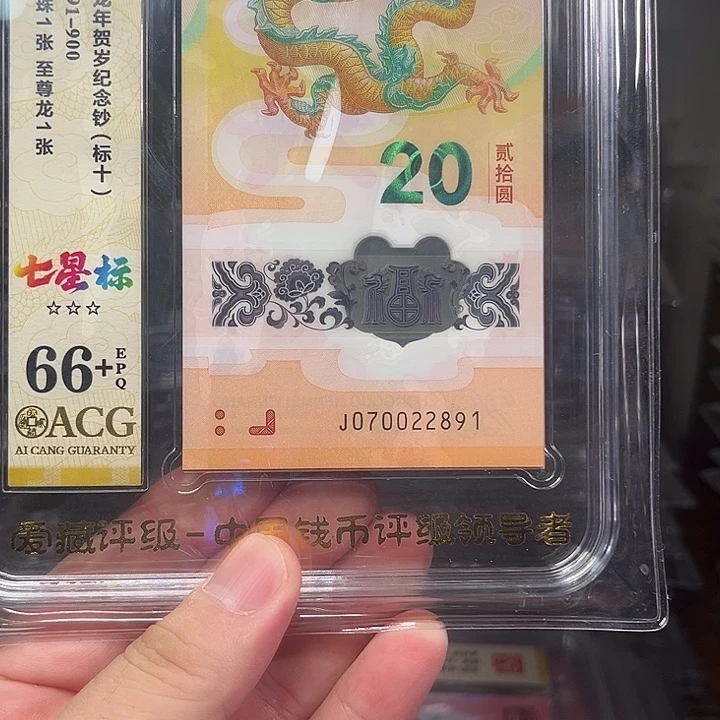 塑料龙钞啊啊啊啊啊啊啊啊啊