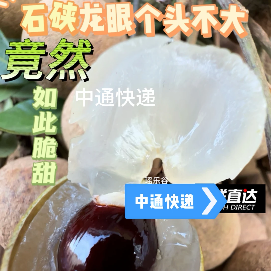中通 （石硖龙眼二级中小果 ）现货速发 正宗安怀石硖