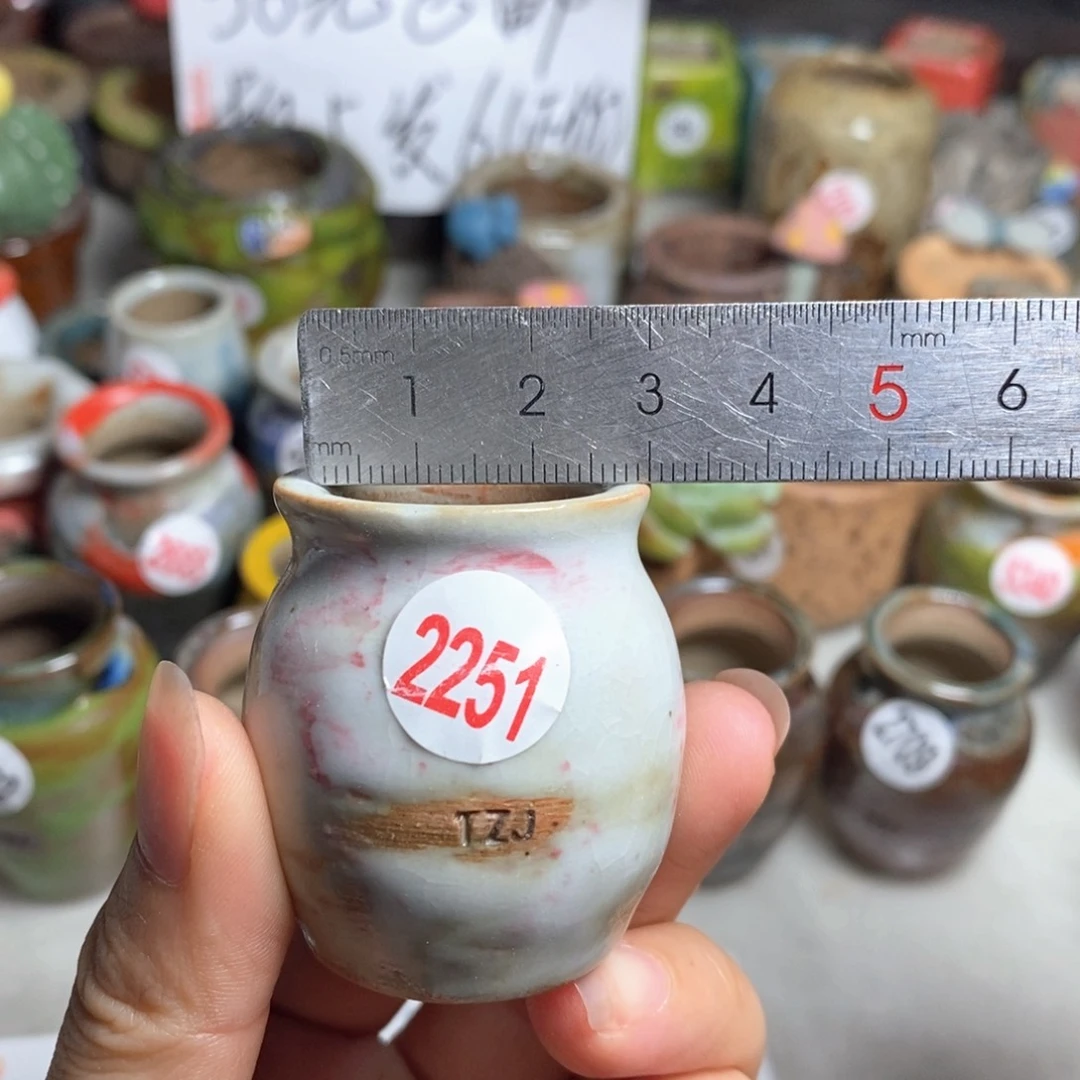 拍5送一个小礼物