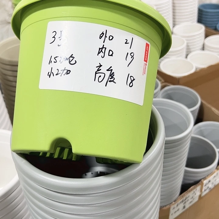 特价3号四季口21高18果绿无托10只