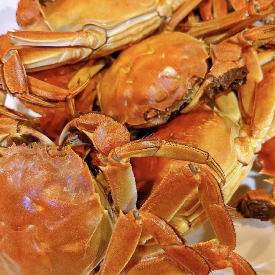 江苏大闸蟹3.5两母蟹一只