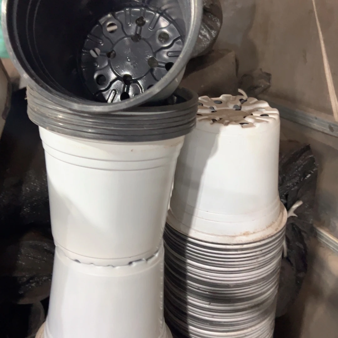 白色双色纸盆17口径15高 40个