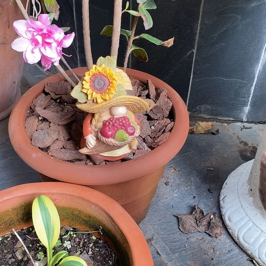 有机玻璃小地精1111