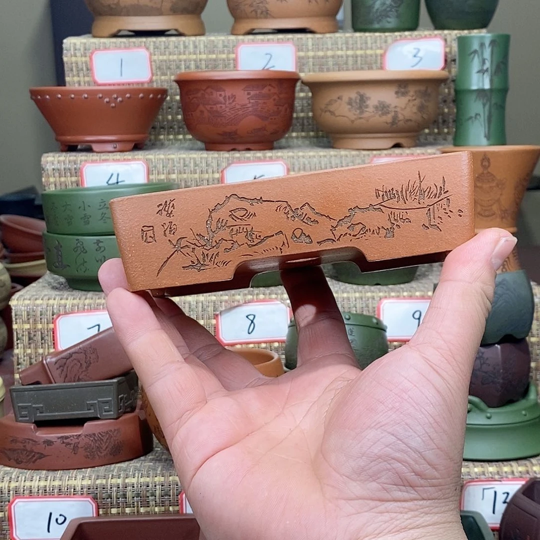 紫砂花盆我在等他