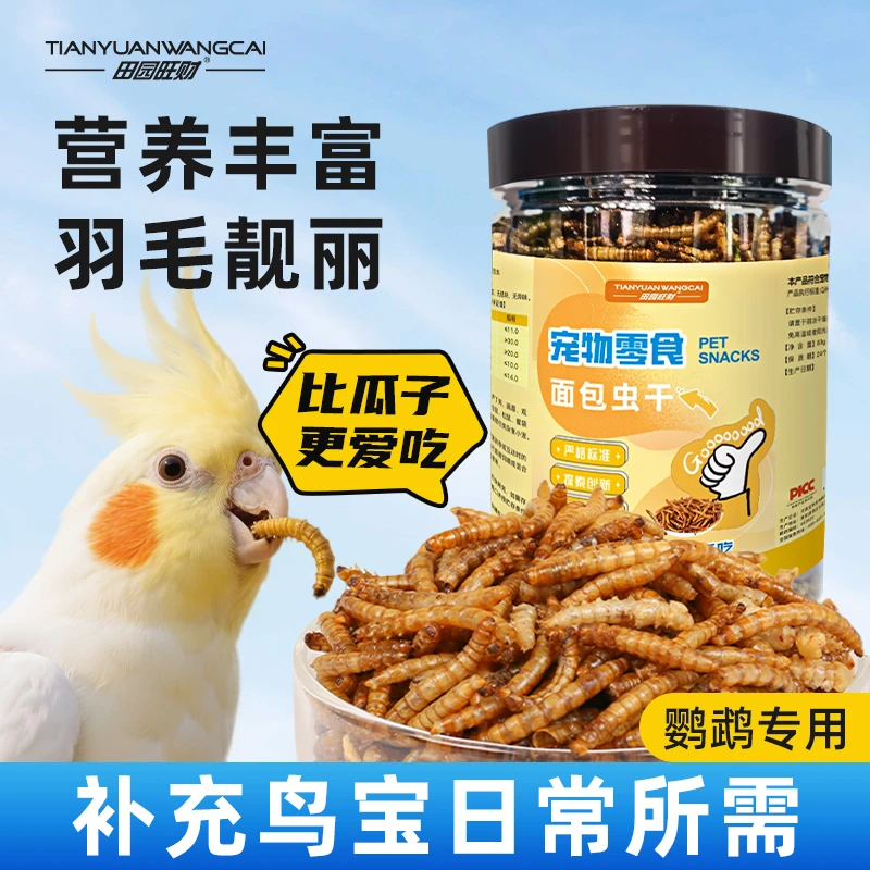 鹦鹉适用面包虫干黄粉虫干高蛋白饲料互动零食无盐活体饲料替代品