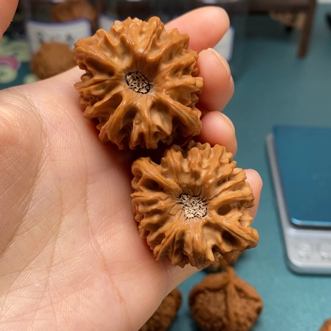 核桃40尺龙门涧修
