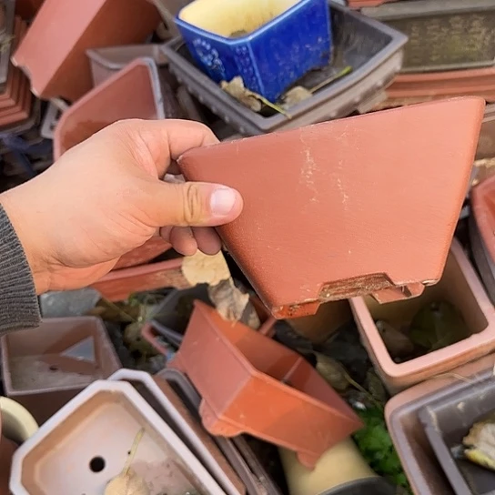 这几句真的好好啊哈哈好好听我