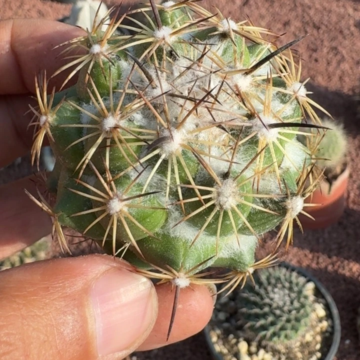 下播福利22222222