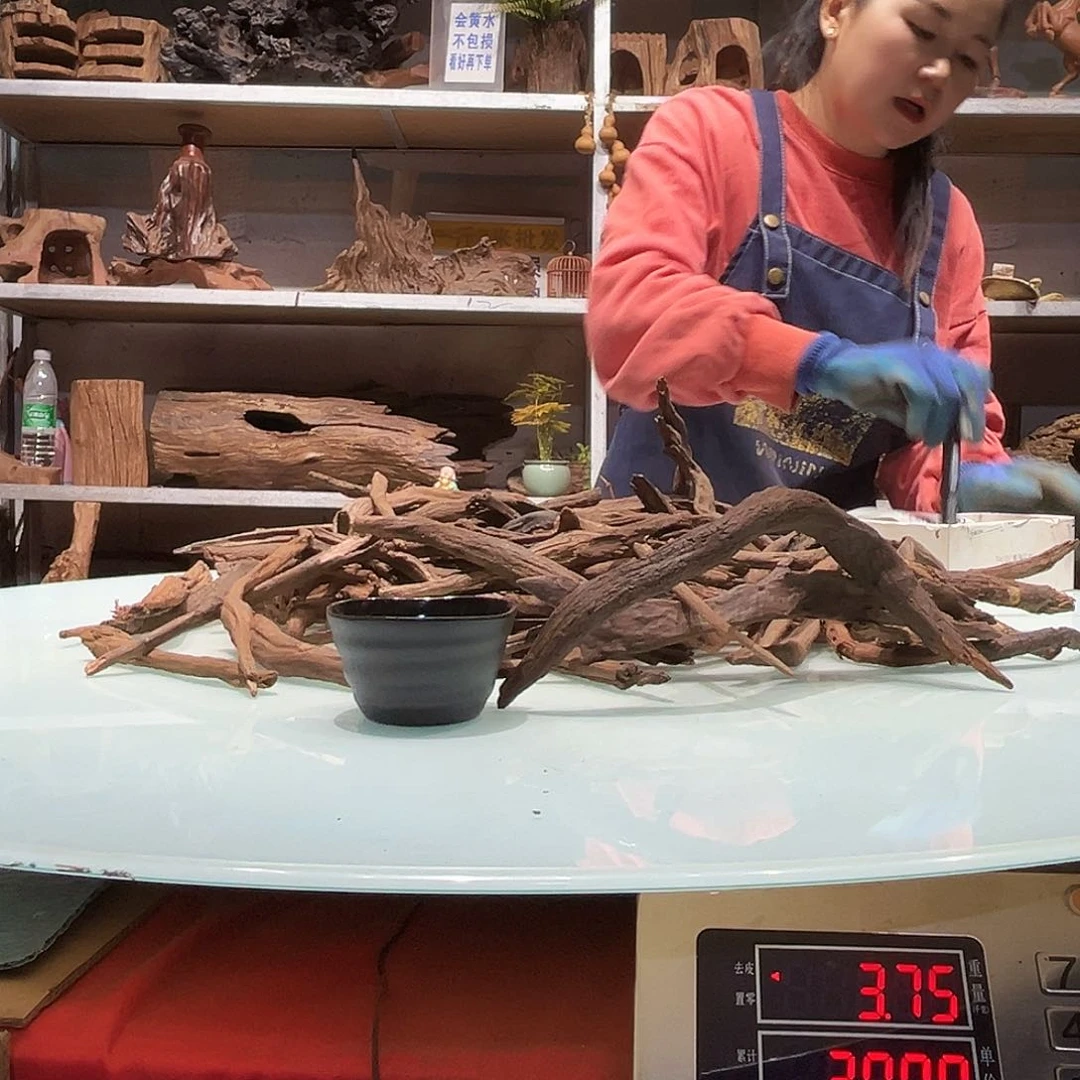 紫砂紫柚沉木云*2850紫柚小枝条