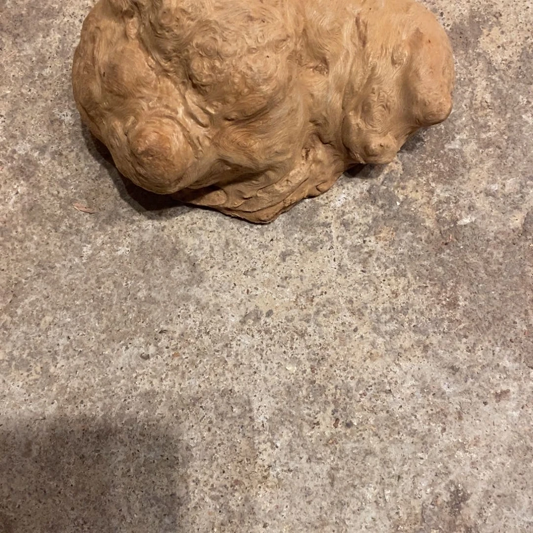 事***为荔枝木随形加工一个