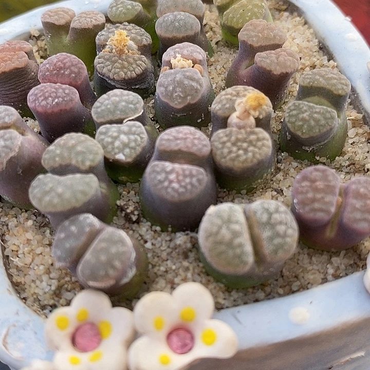 RY1917磁铁风铃一颗。