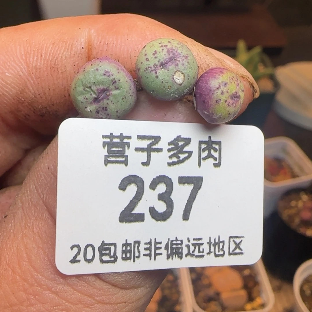 福利。        1380。