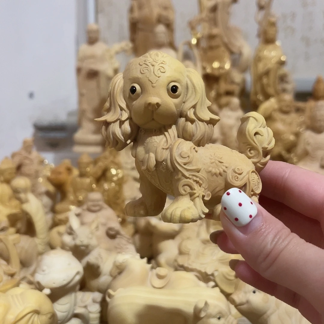 黄杨木金毛树结小叶黄杨木