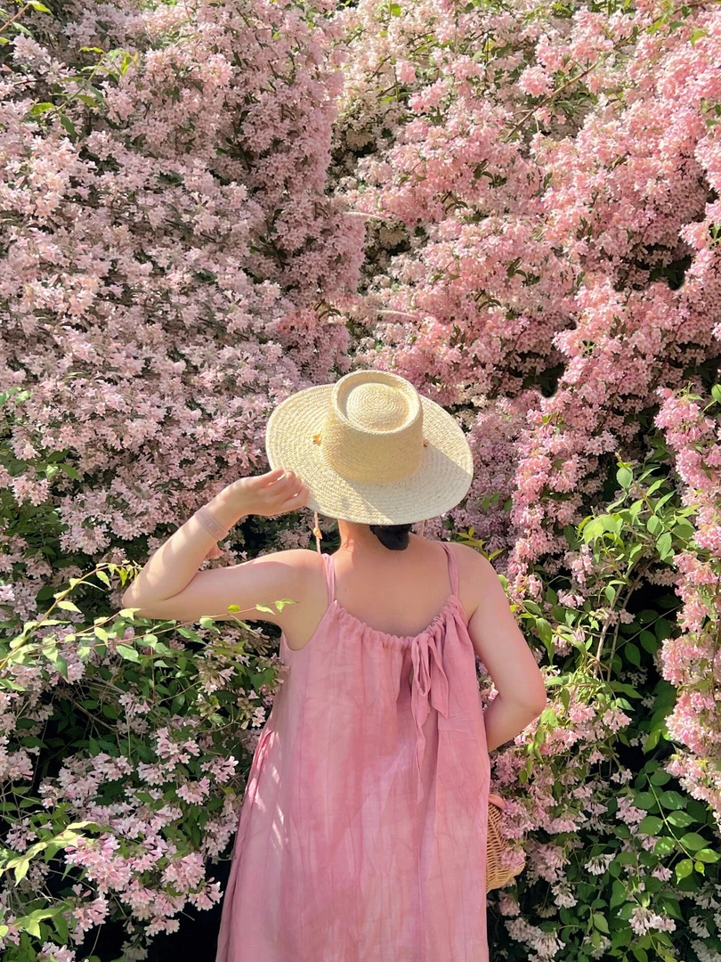 猥实花庭院花卉耐寒植物盆栽地栽都可以花园植物