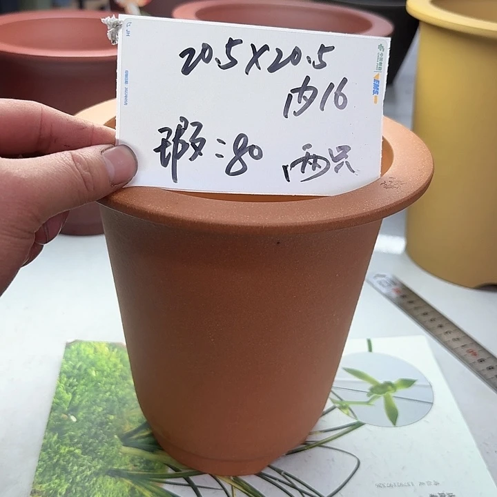 紫砂222222222222222