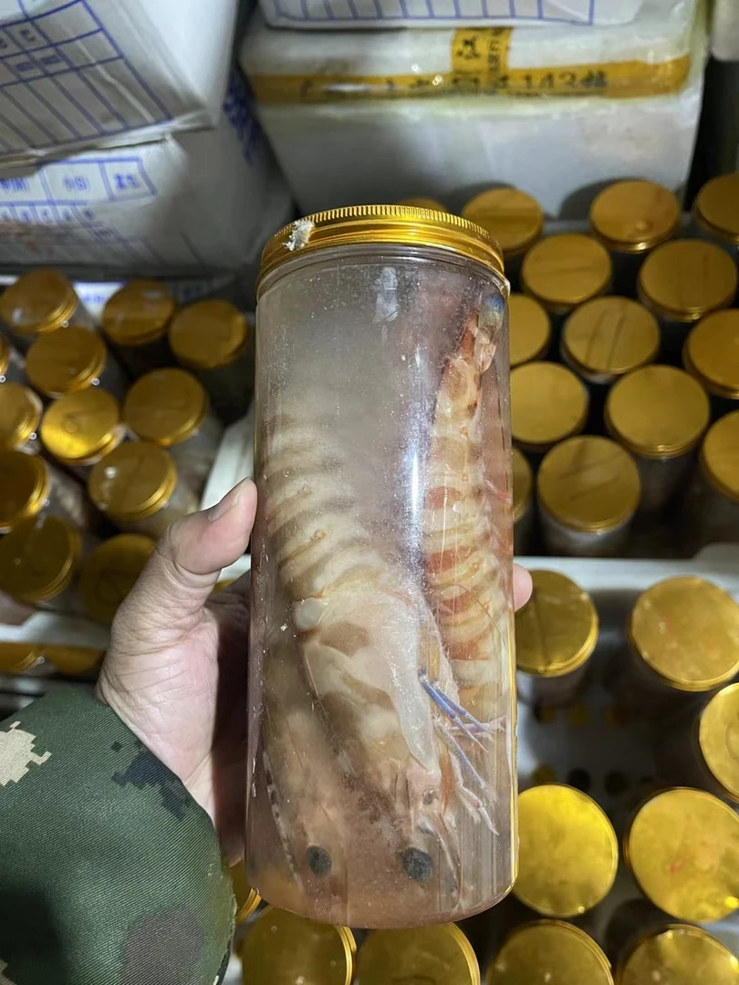 竹节虾鲜活特大斑节虾九节虾深海大虾新鲜冷冻大虾海鲜虾类