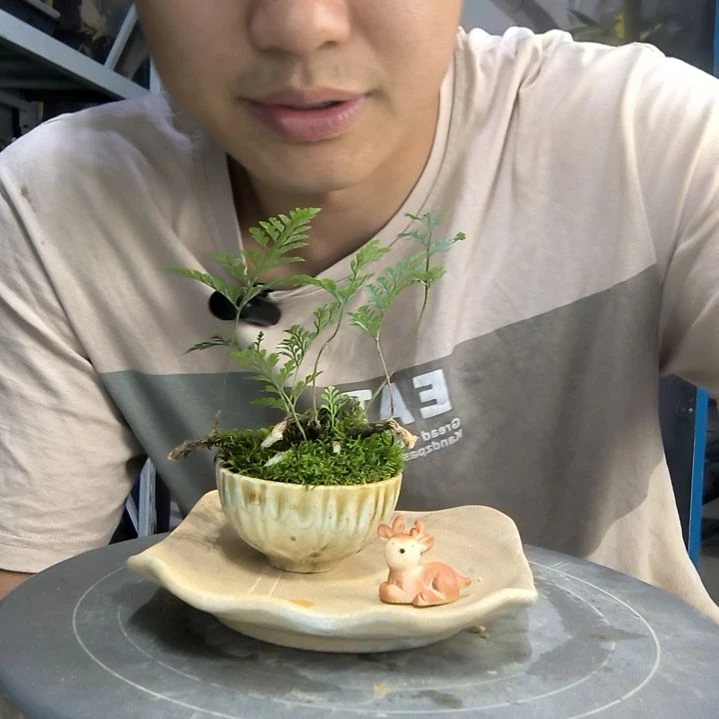 米*中青园艺一物一拍128