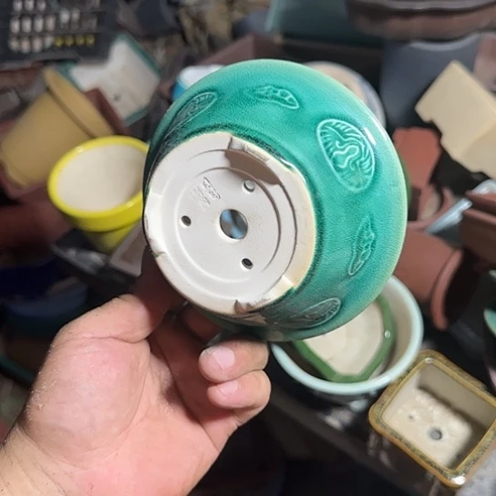 在干嘛的我还以为自己没