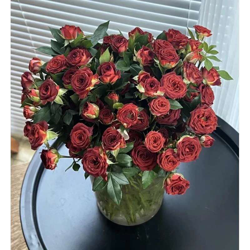 【小北】卡布奇诺巧克力泡泡橙芭比组合 【同地址两单京东或顺丰】