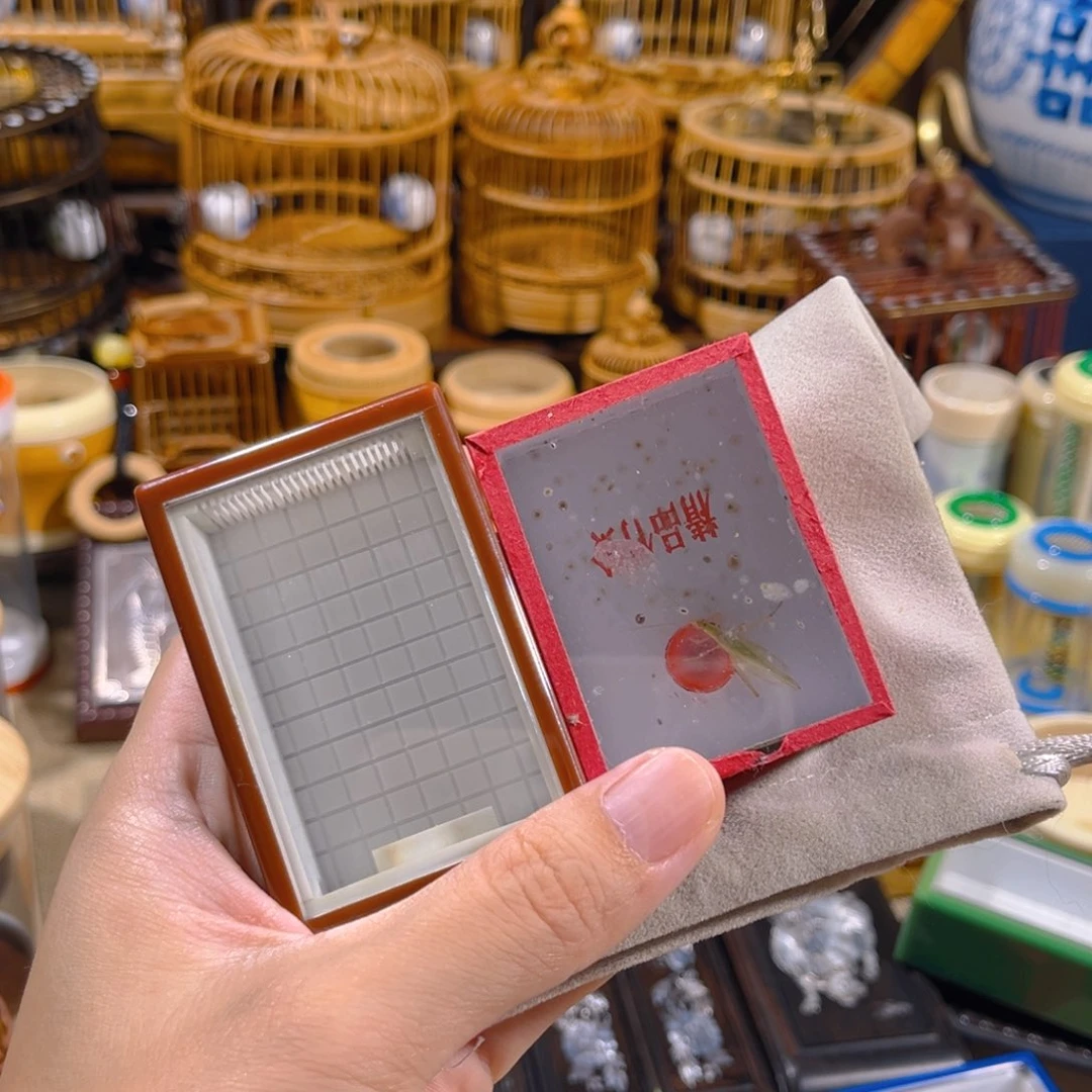 蟋蟀有机盒送竹蛉送布套