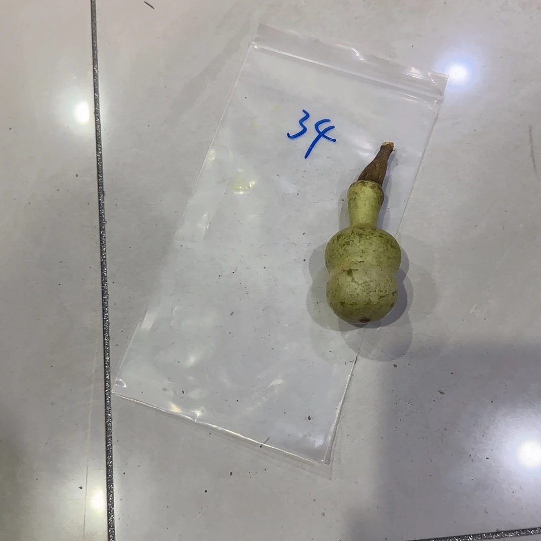 S***g聊几句咯哦咯摸摸摸