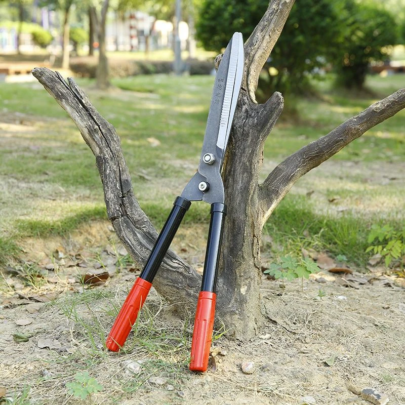 园艺修枝剪修绿化草坪绿篱剪大花剪园林剪枝工具修剪树枝专用剪刀