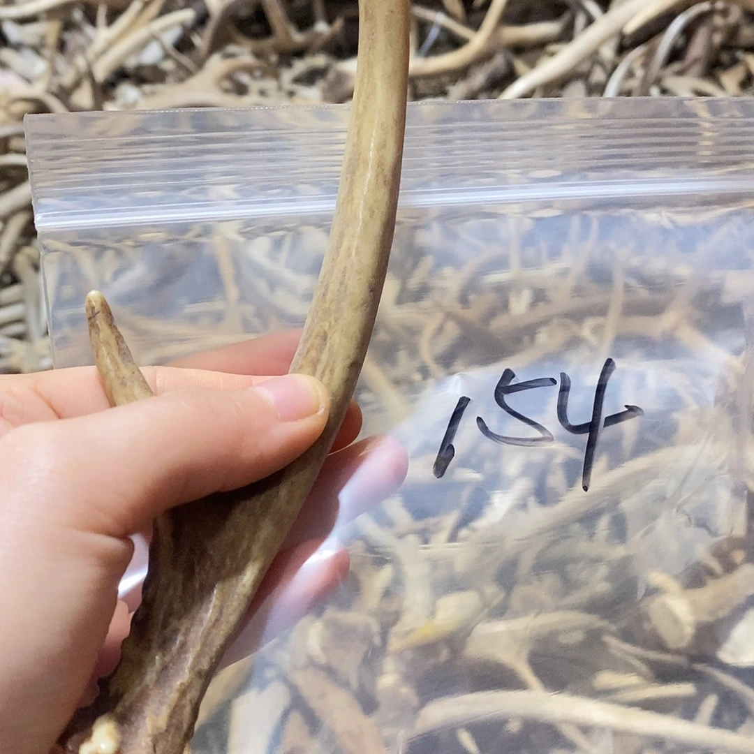 菜***羊非金属鹿角鹿角鹿角