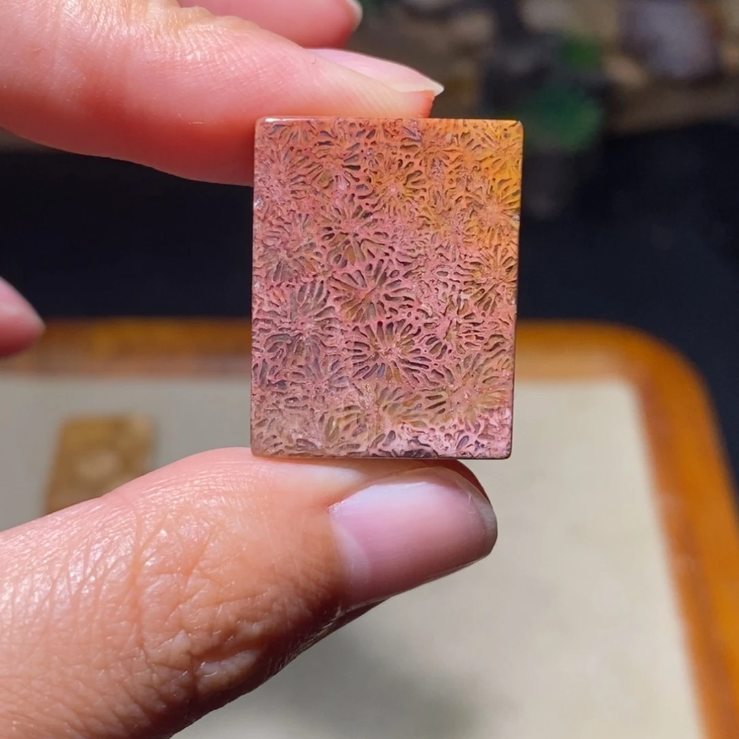 【闪购商品】硅化玉颈饰未镶嵌