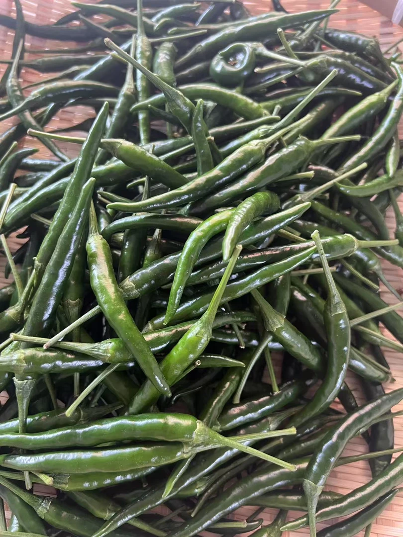 青辣椒小米辣朝天椒农家