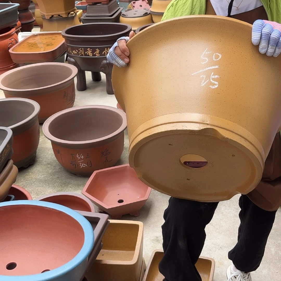 紫砂花盆盆景艺术