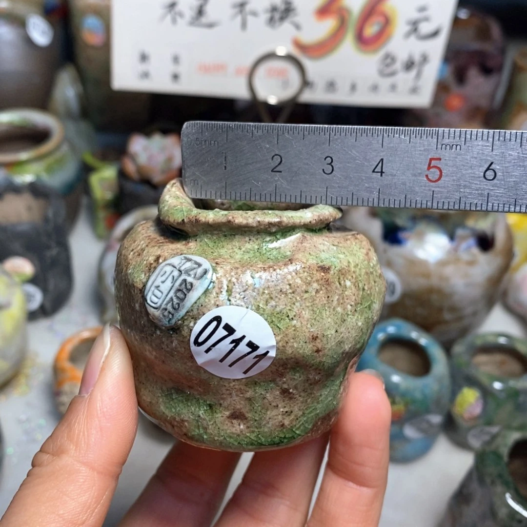 花盆拍3送一个小礼物