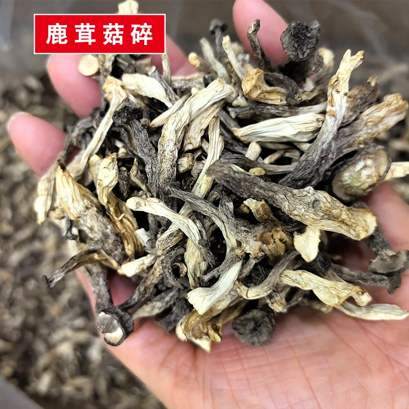 鹿茸菇干货碎片批发净重发货农家无硫鹿茸菇干货包子饺子馅料
