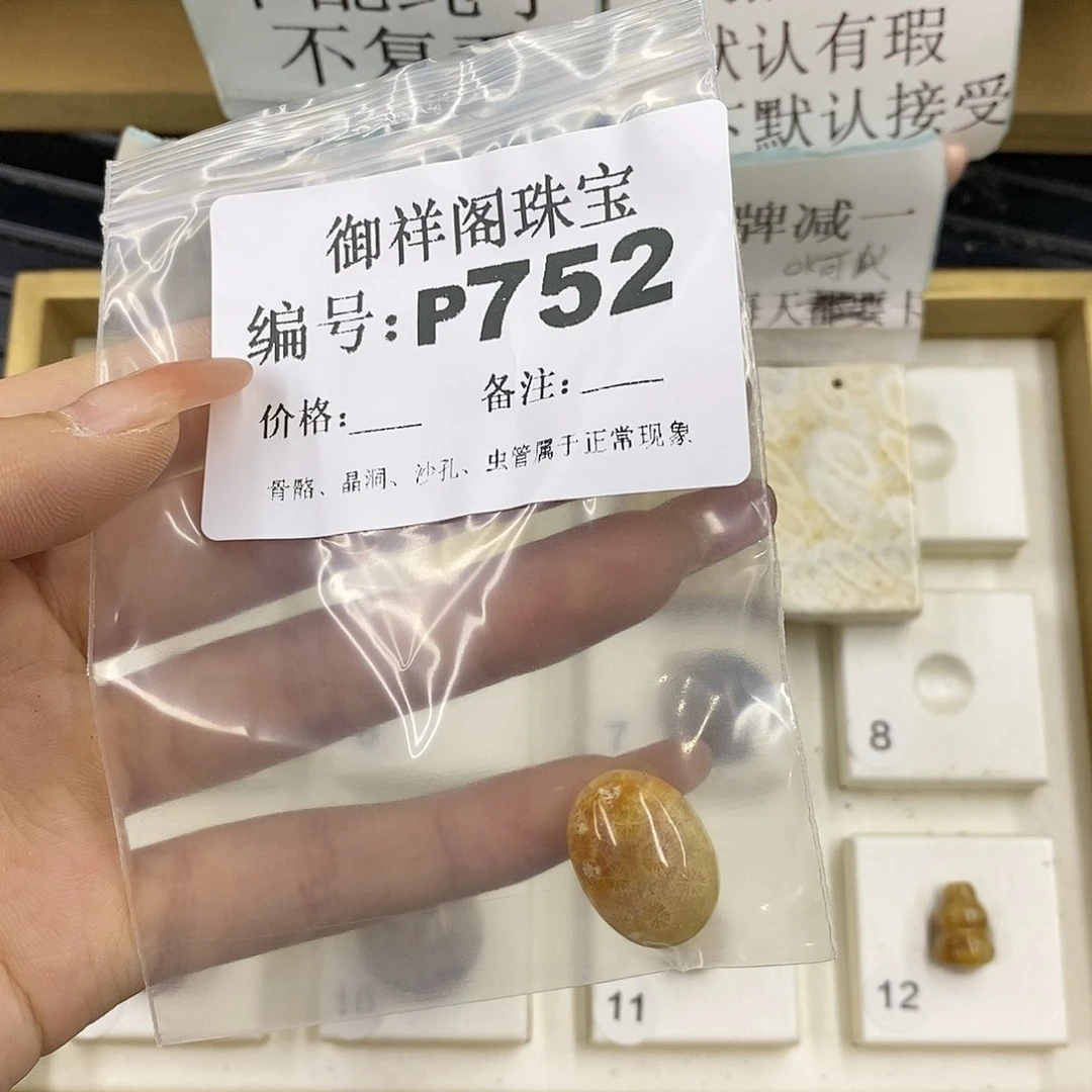 硅化珊瑚（珊瑚玉）未镶嵌颈饰嫵*?