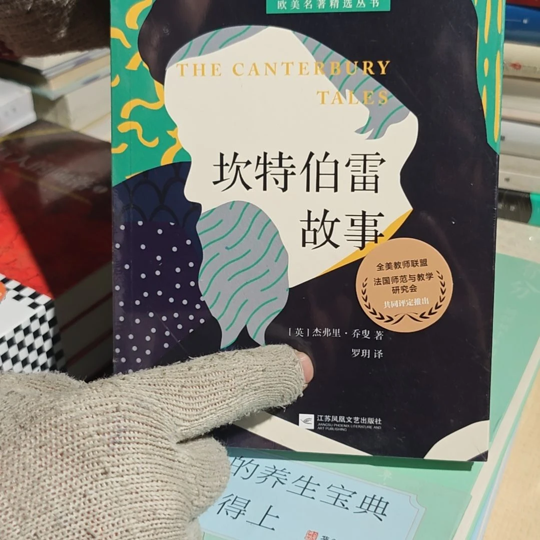 坎特伯雷故事平装库存书
