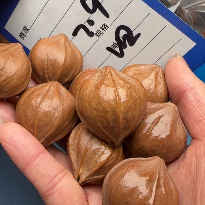 金***宇手串橄榄核橄榄核