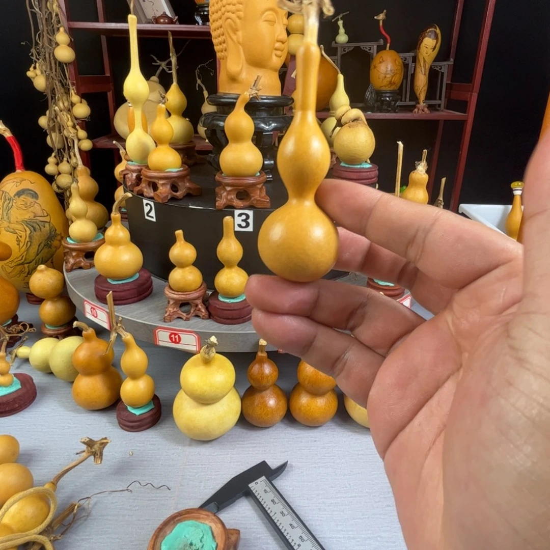 林***士藤木我的小可爱，一点也不像个女孩