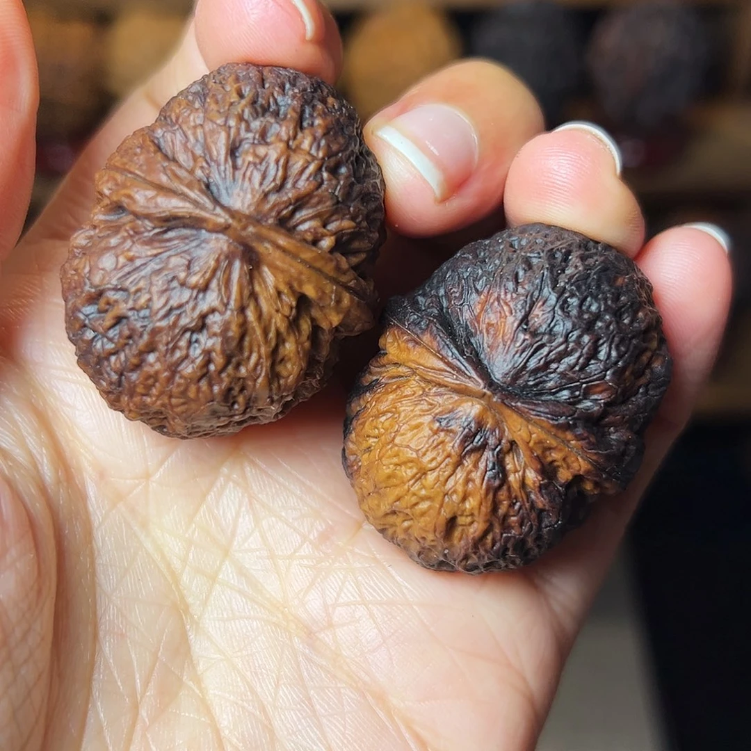 狮头元宝        39